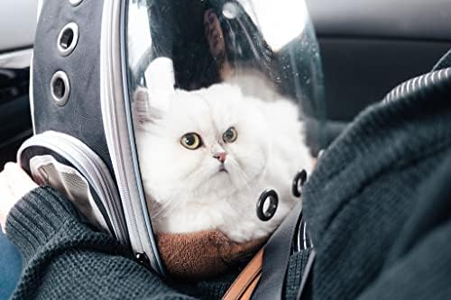 Раница-Переноска PROKEI за котки, Разтегателен Раница за домашни любимци, Одобрен от Авиокомпанията, Чанта за Пренасяне